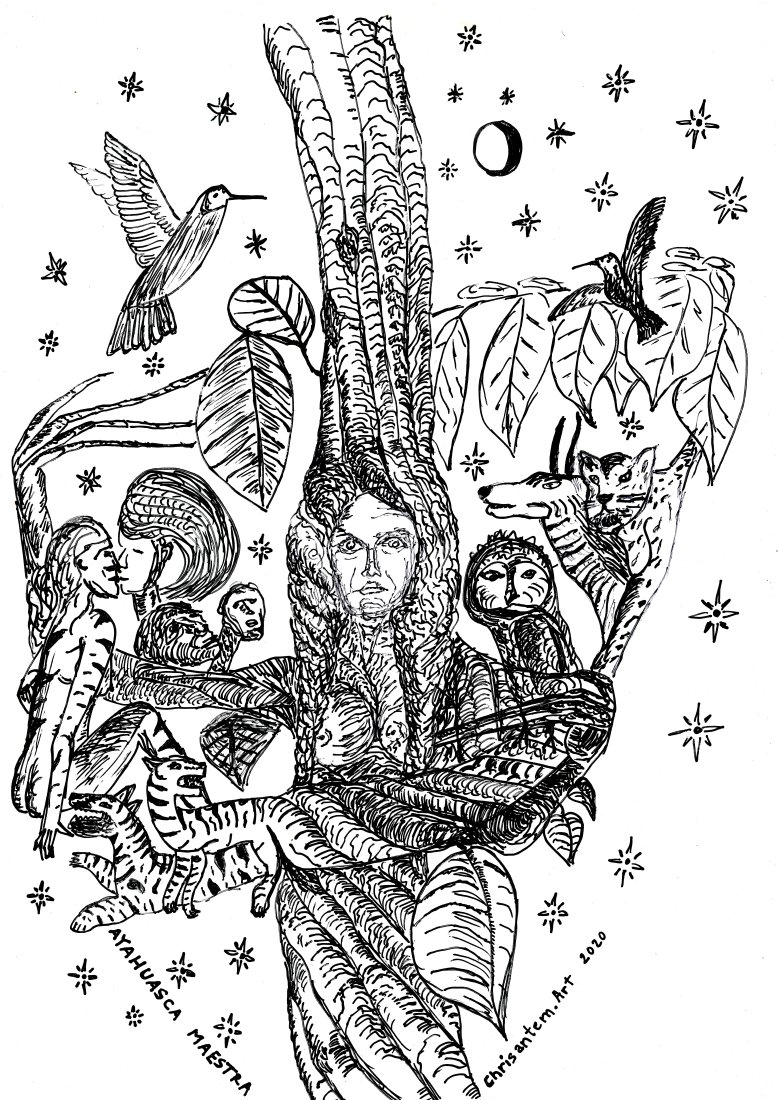 Ayahuasca Maestra, 2020